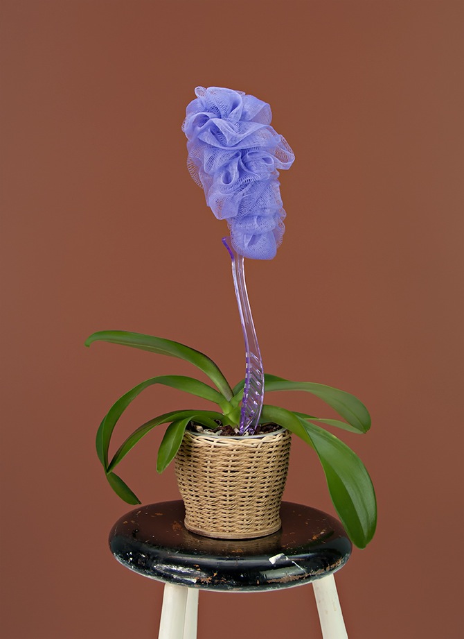 Inflorescence by PUTPUT in THISISPAPER MAGAZINE Inflorescence 01 Inflorescence by PUTPUT in THISISPAPER MAGAZINE
