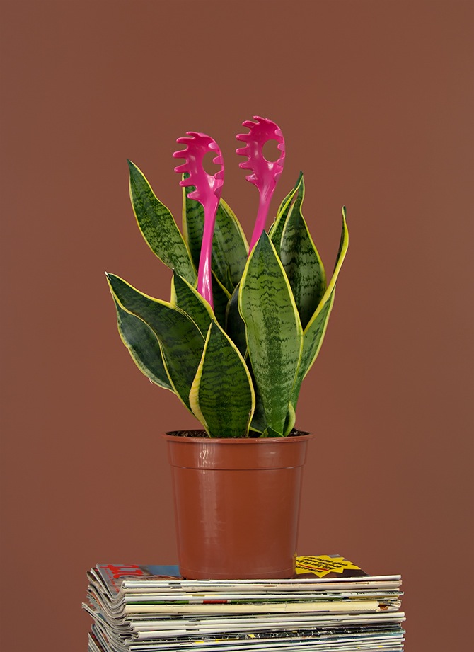 Inflorescence by PUTPUT in THISISPAPER MAGAZINE Inflorescence 03 Inflorescence by PUTPUT in THISISPAPER MAGAZINE